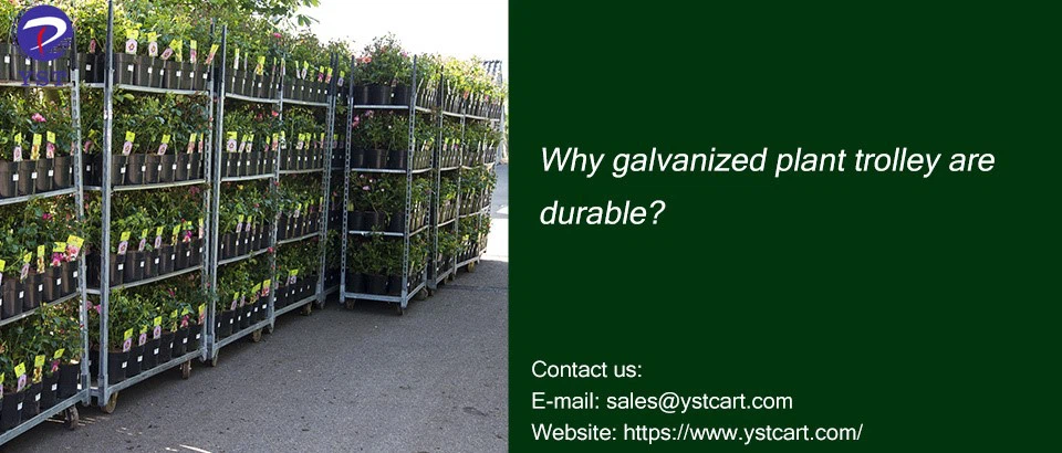 galvanized plant trolley galvanized plant trolley