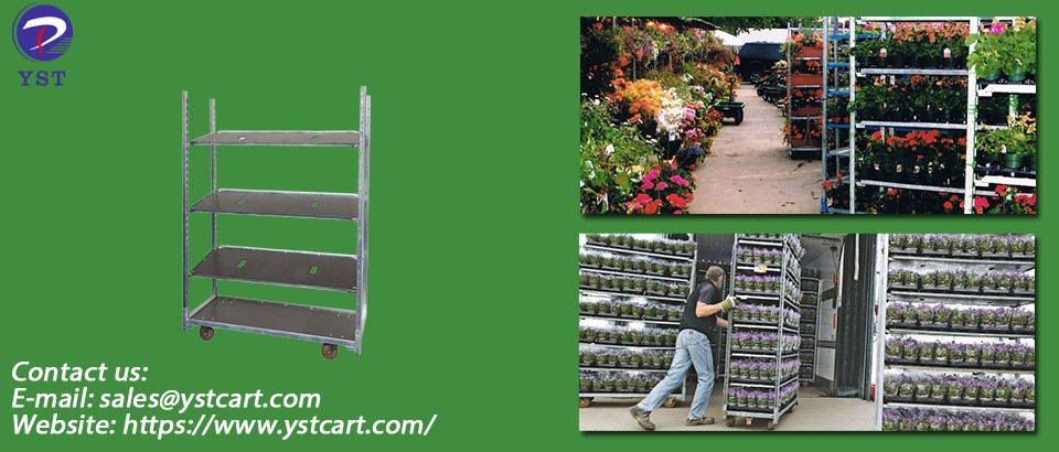 Greenhouse Nursery Trolleys-10 Greenhouse Nursery Trolleys-10