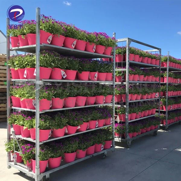 Dutch Horticultural Cart