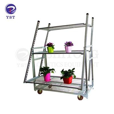 Carrinho de flores e plantas