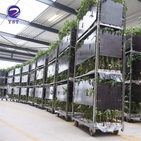 Cart To Transport Flowers