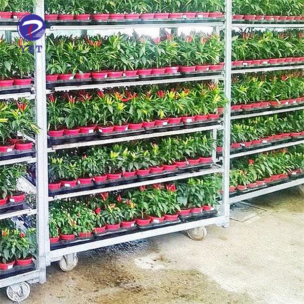 Carrinhos de carrinho Plant Cc