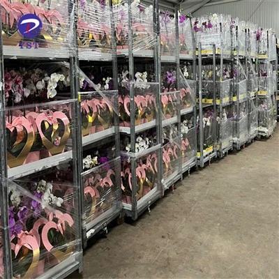 Carrinhos para viveiro de jardim