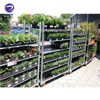 Racks para viveiros com efeito de estufa