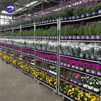 Prateleiras para flores de berçário