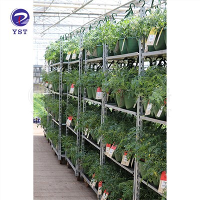 Carrinhos para viveiro de plantas