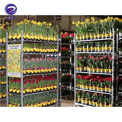 Carrinhos de metal para transprotação de plantas