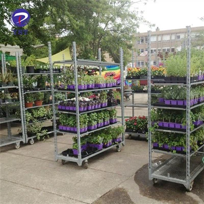 Rack para carrinho de plantas