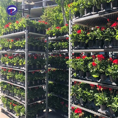Carrinho de transporte de plantas