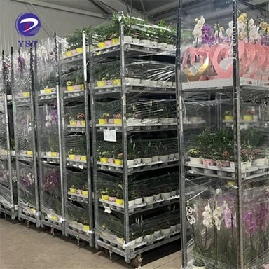 Carrinho de flores