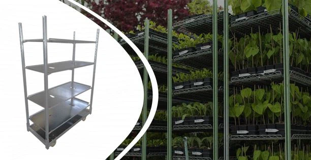 Carrinho dinamarquês