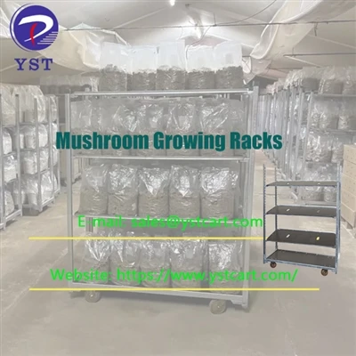 A crescente popularidade dos racks de cultivo de cogumelos nos negócios de cu...